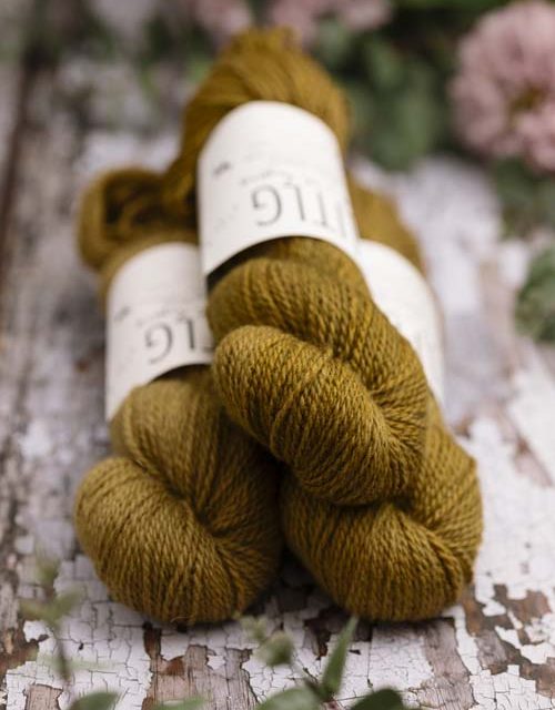 LITLG - Life in the Long Grass