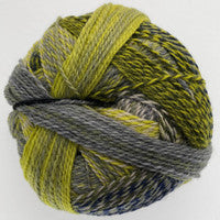 Schoppel Wolle - Zauberball Crazy