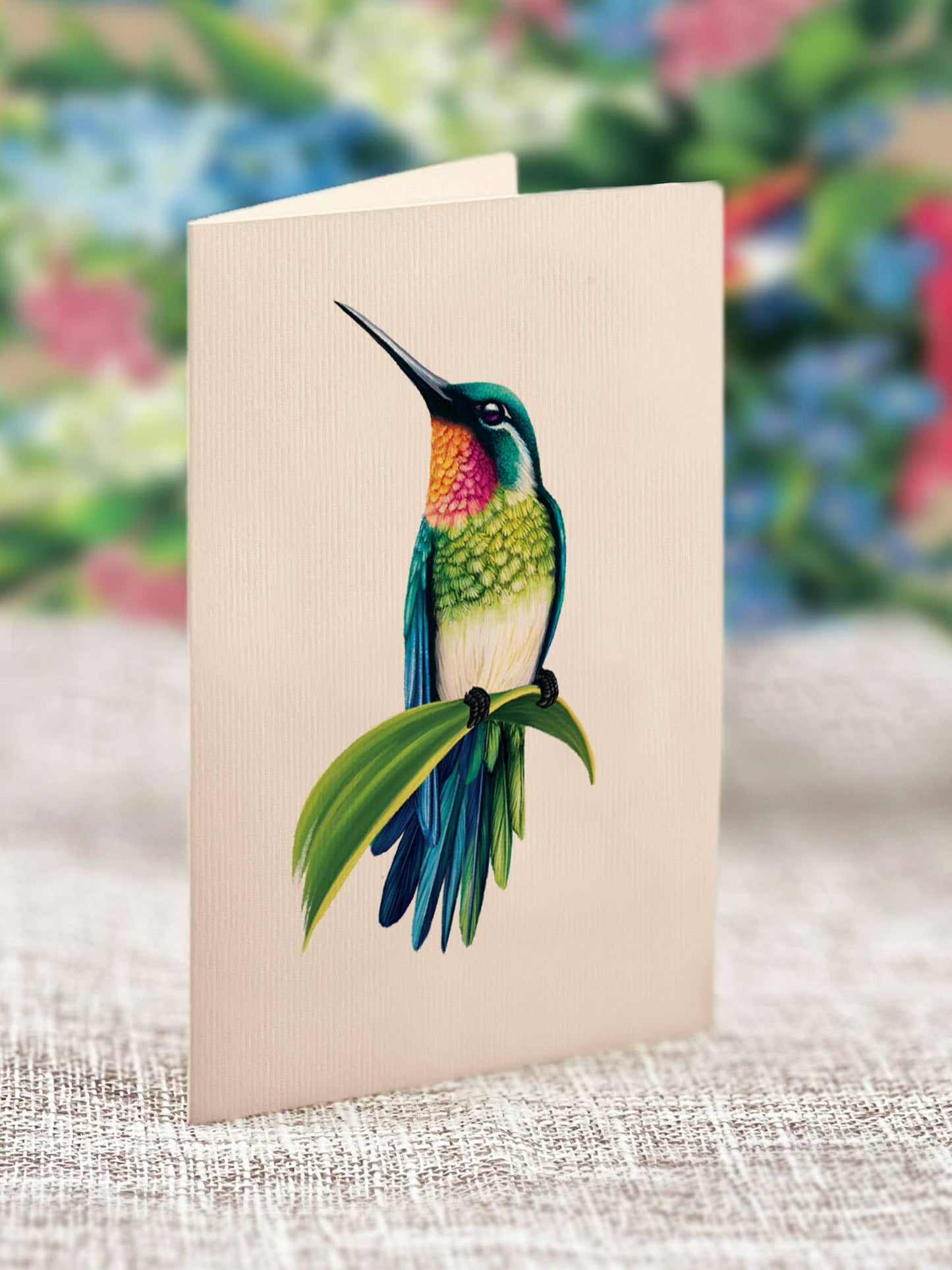 Hummingbird Oasis (8 Pop-up Greeting Cards)