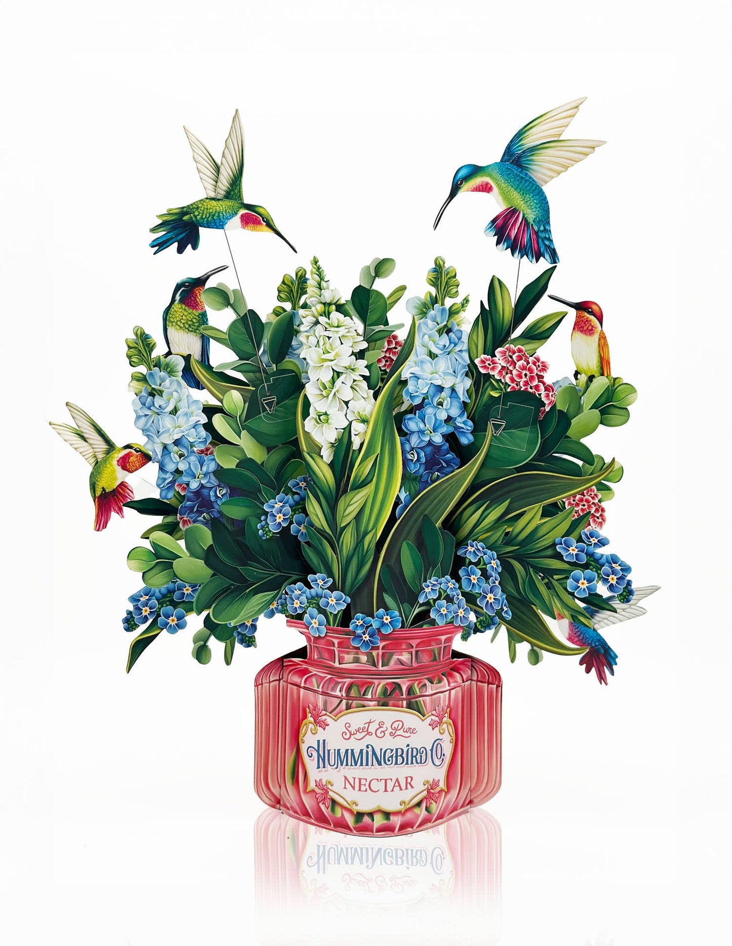 Hummingbird Oasis (8 Pop-up Greeting Cards)