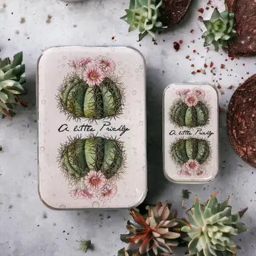 Firefly Notes - Large Notions Tin
