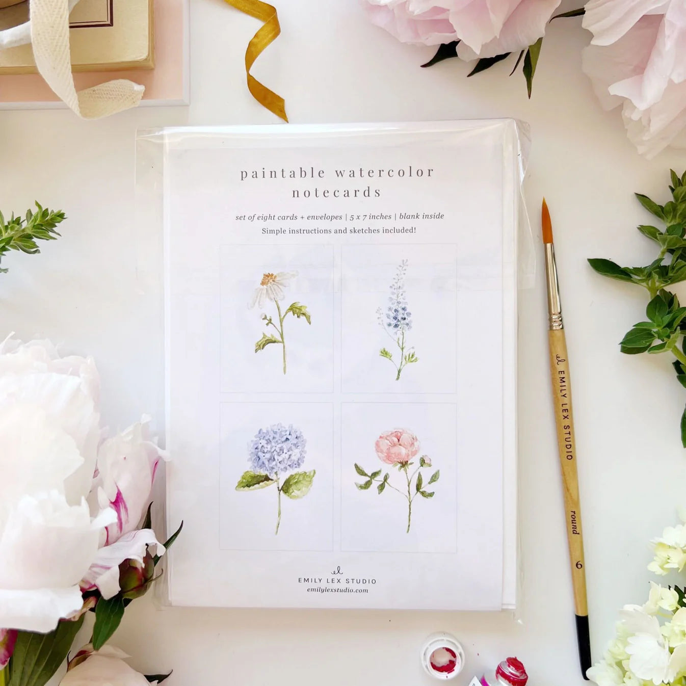 Emily Lex Studio - Paintable Notecards