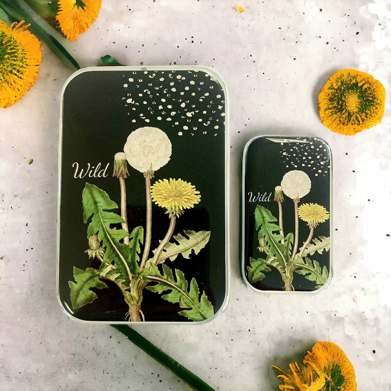 Firefly Notes - Large Notions Tin