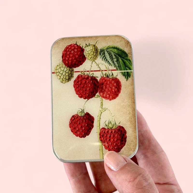 Firefly Notes - Large Notions Tin