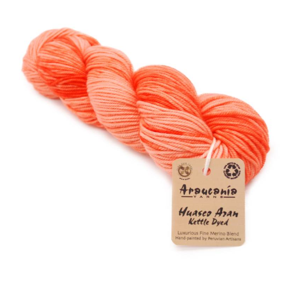 Araucania- Huasco Aran Kettle Dyes