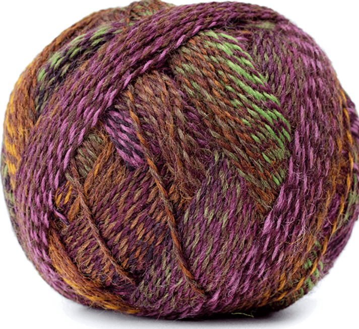 Schoppel Wolle - Zauberball Crazy