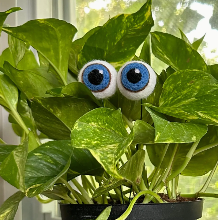 Felt Planter Eyeballs
