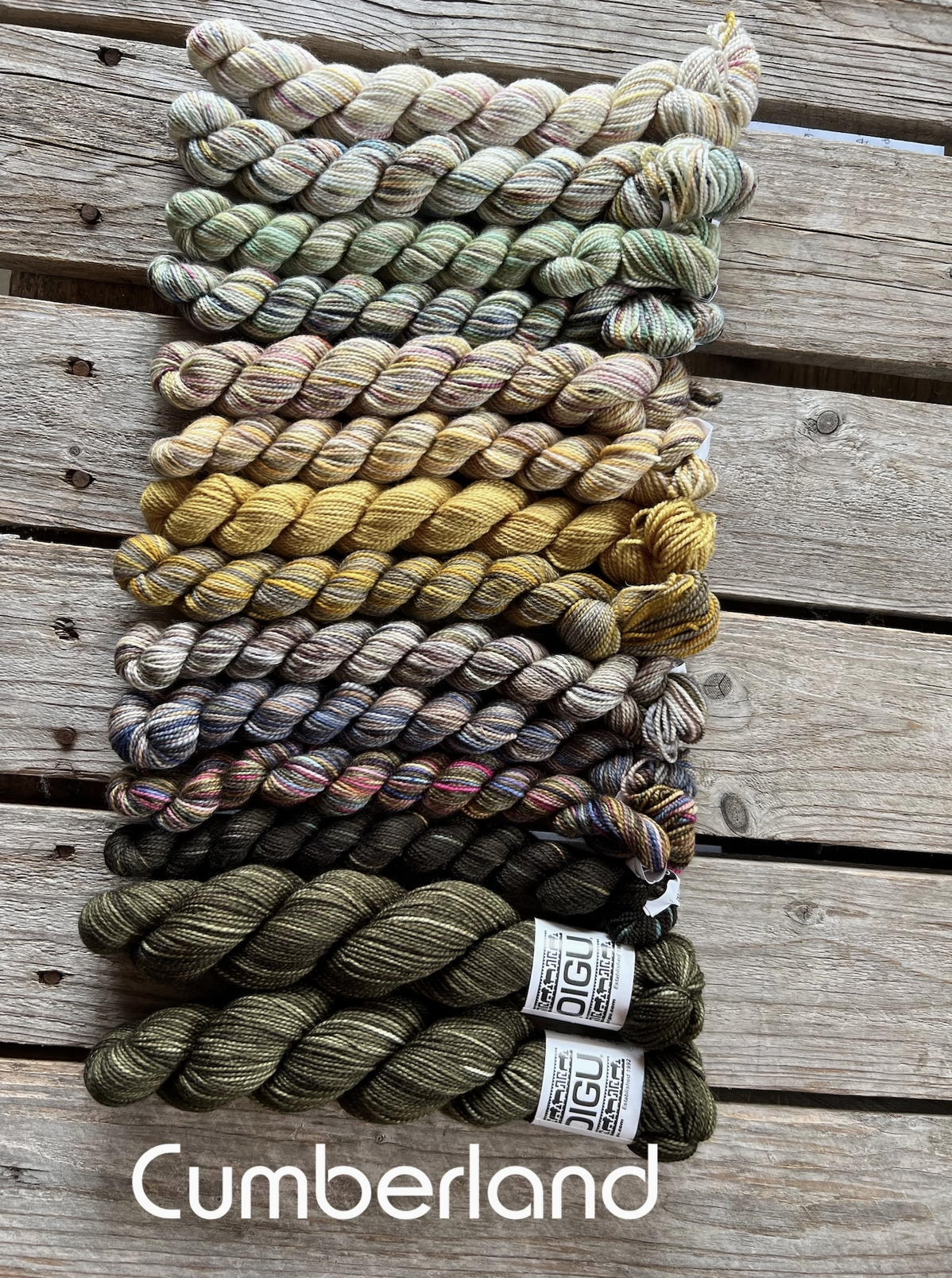 Koigu-Astria Shawl Pack