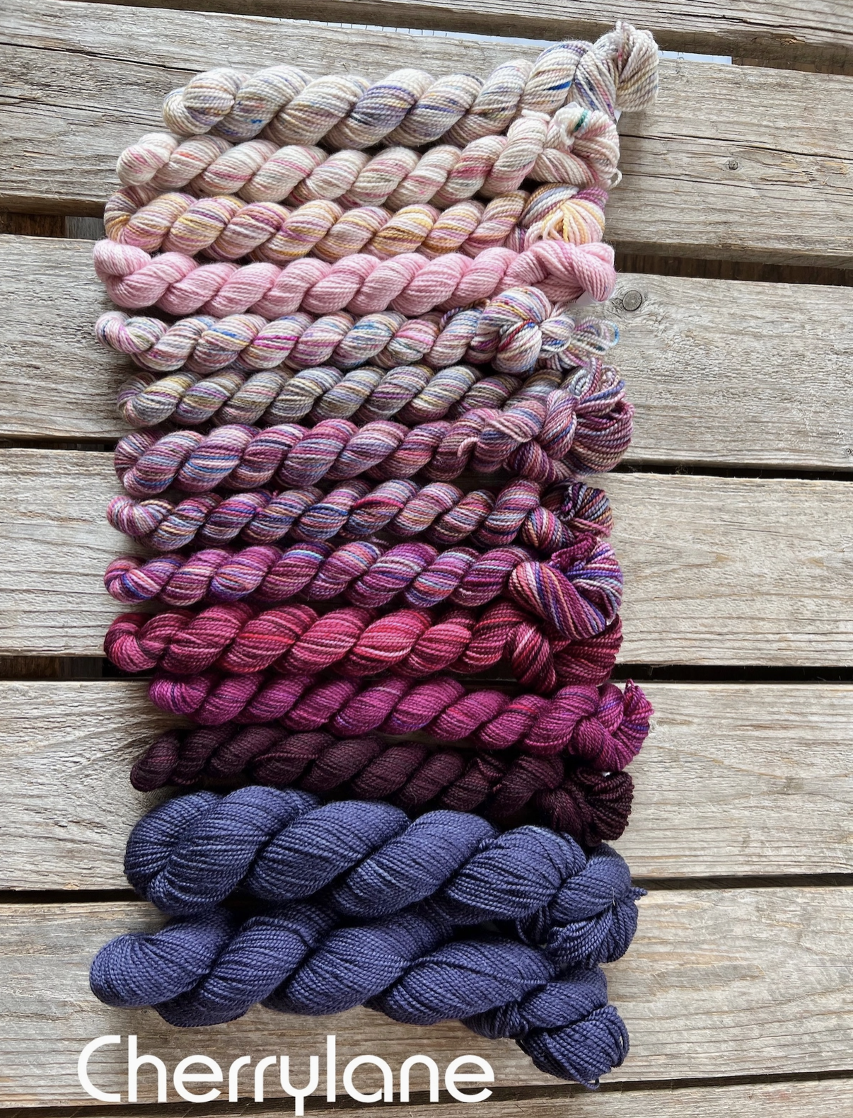 Koigu-Astria Shawl Pack