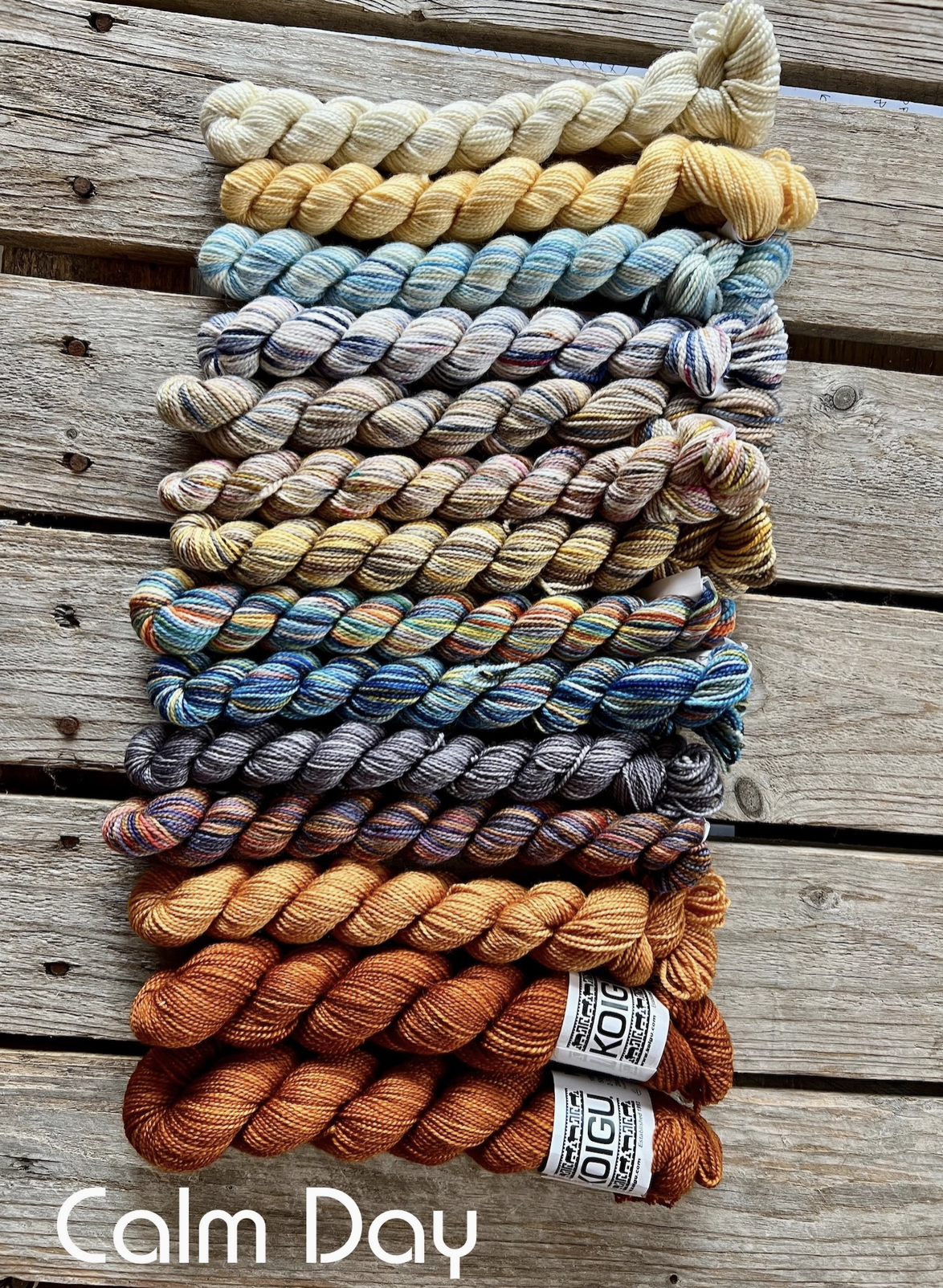 Koigu-Astria Shawl Pack