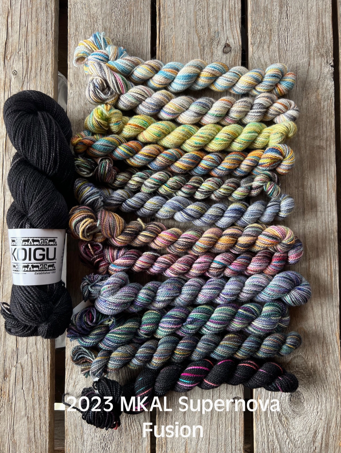 Koigu-Supernova Shawl kit