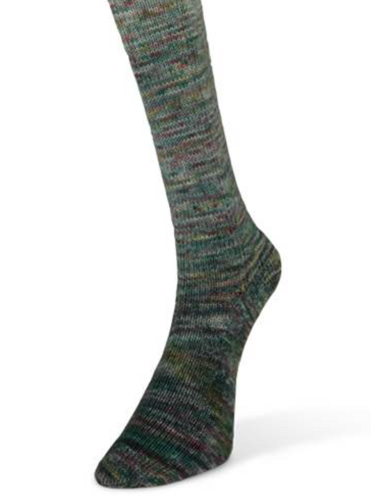 Laines du Nord Painted Gradient Sock