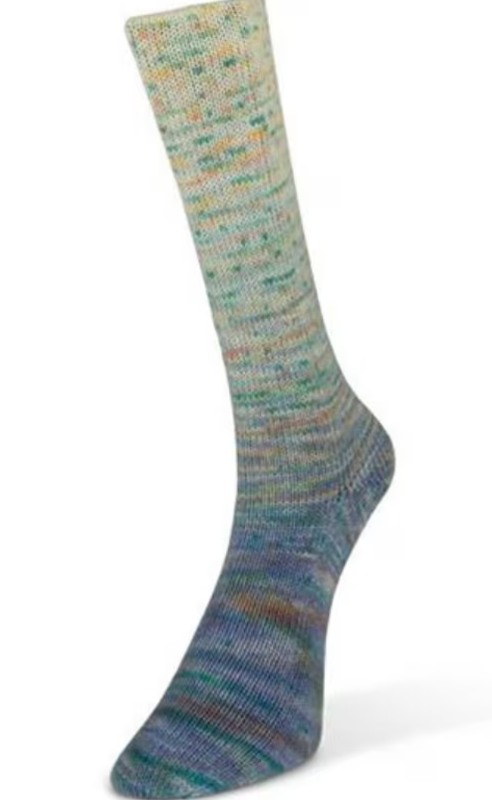 Laines du Nord Painted Gradient Sock