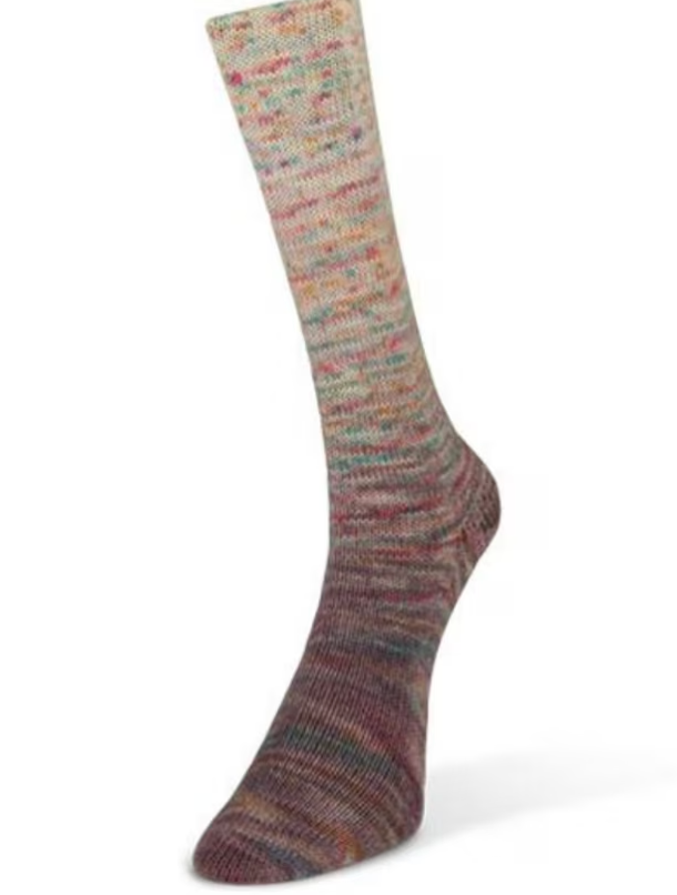 Laines du Nord Painted Gradient Sock