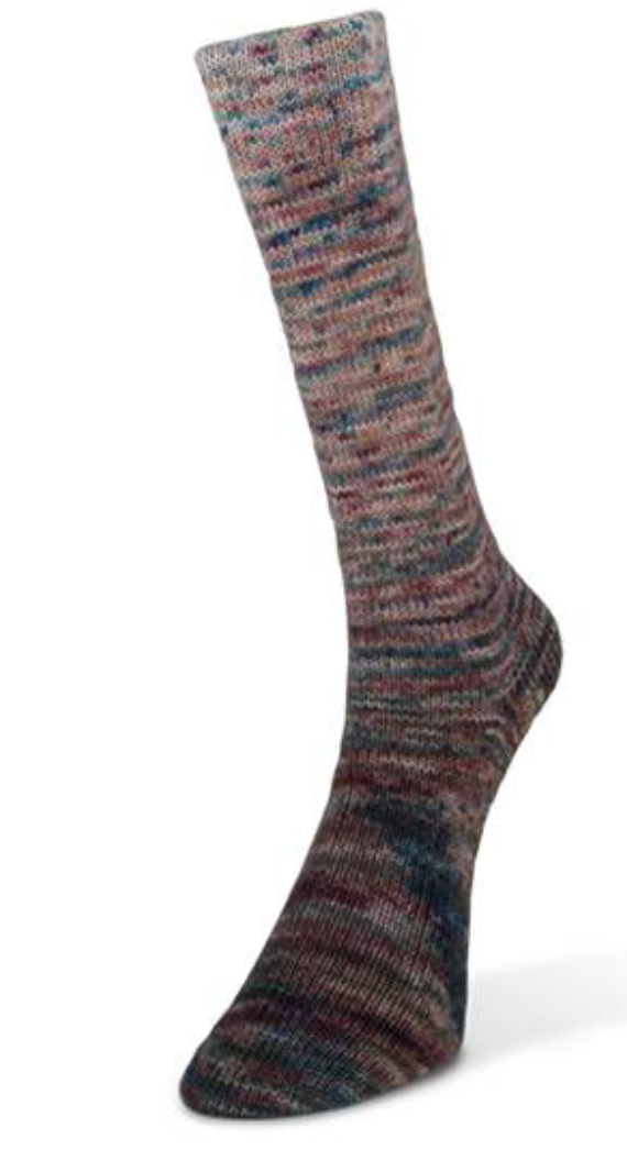 Laines du Nord Painted Gradient Sock