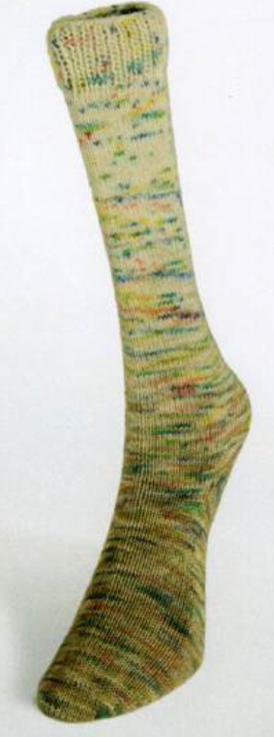 Laines du Nord Painted Gradient Sock