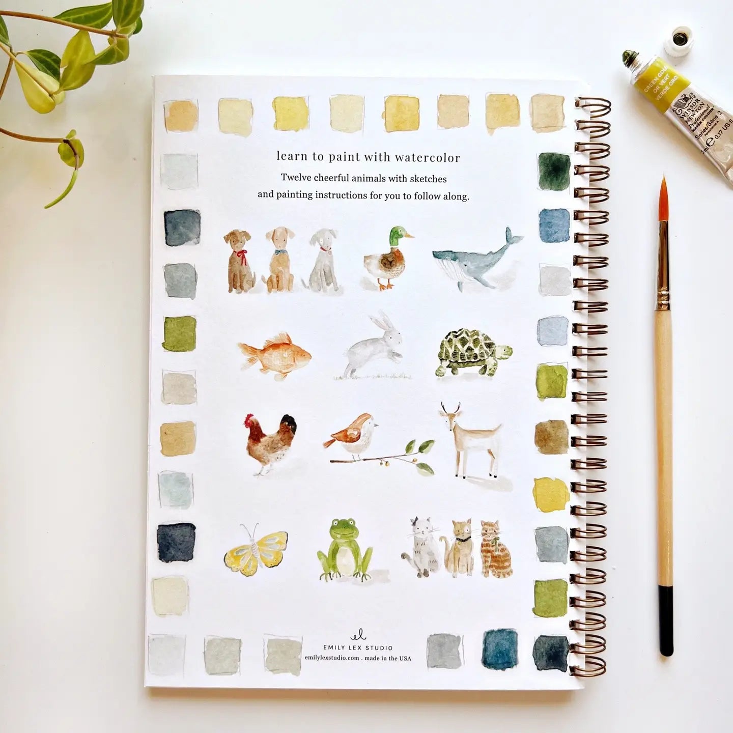 Emily Lex Studio - Watercolor Workbooks