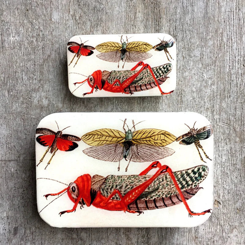 Firefly Notes - Large Notions Tin