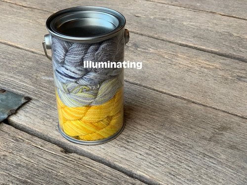 Koigu - Paint Can