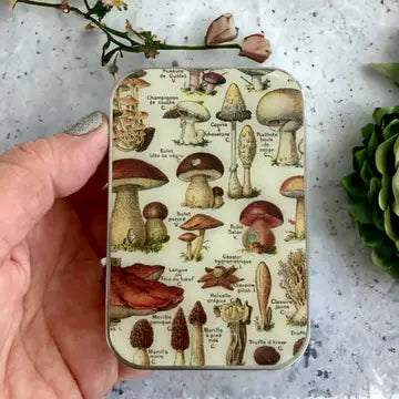 Firefly Notes - Large Notions Tin