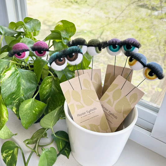 Felt Planter Eyeballs with Eyelashes