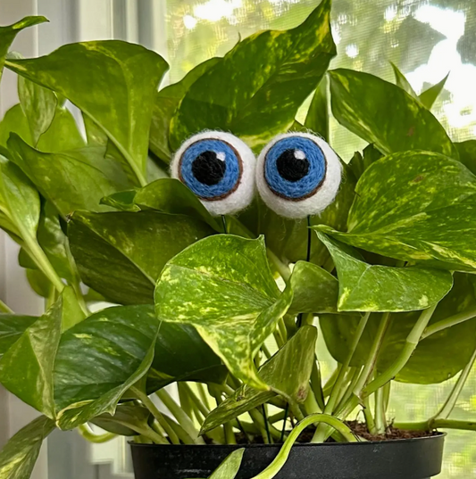 Felt Planter Eyeballs