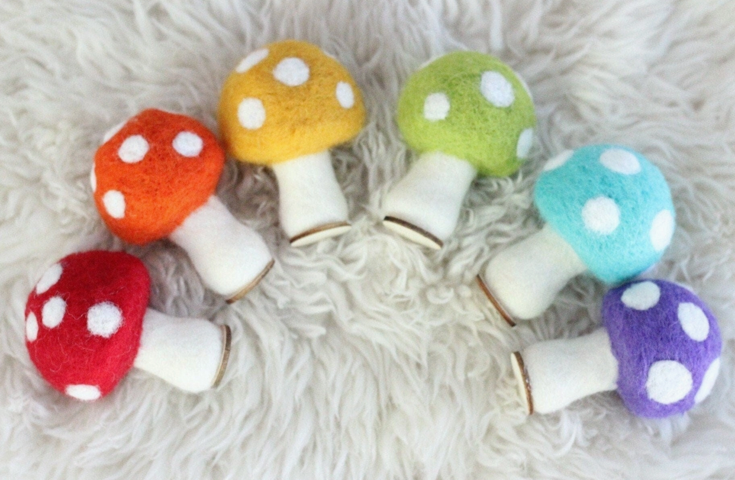 Rainbow Mushroom Set