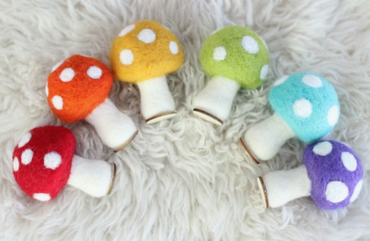 Rainbow Mushroom Set