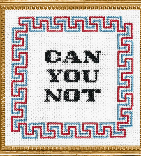 Subversive Cross Stitch Kits