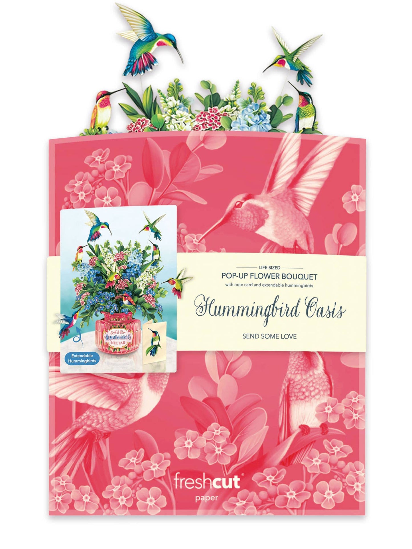 Hummingbird Oasis (8 Pop-up Greeting Cards)