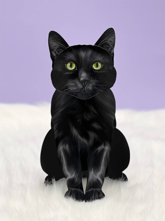 Fresh Cut Pop Up Cat - Black Cat